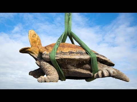 Removal of the sculptures of the Latona fountain