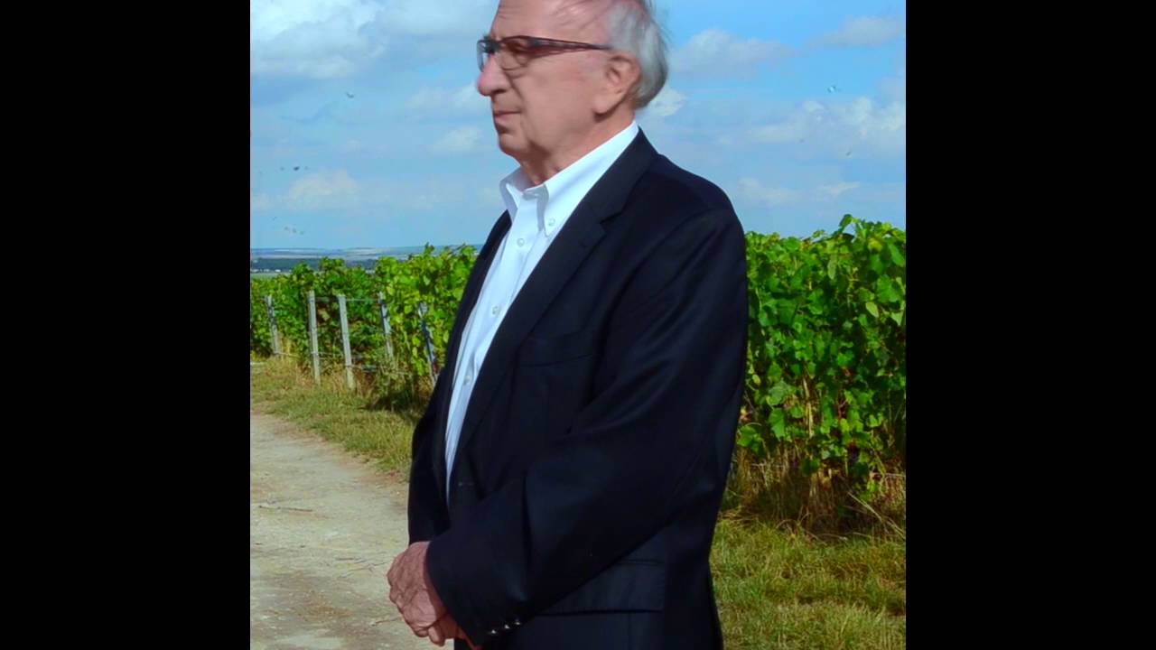 Pourquoi faire les vendanges à la main en Champagne ?