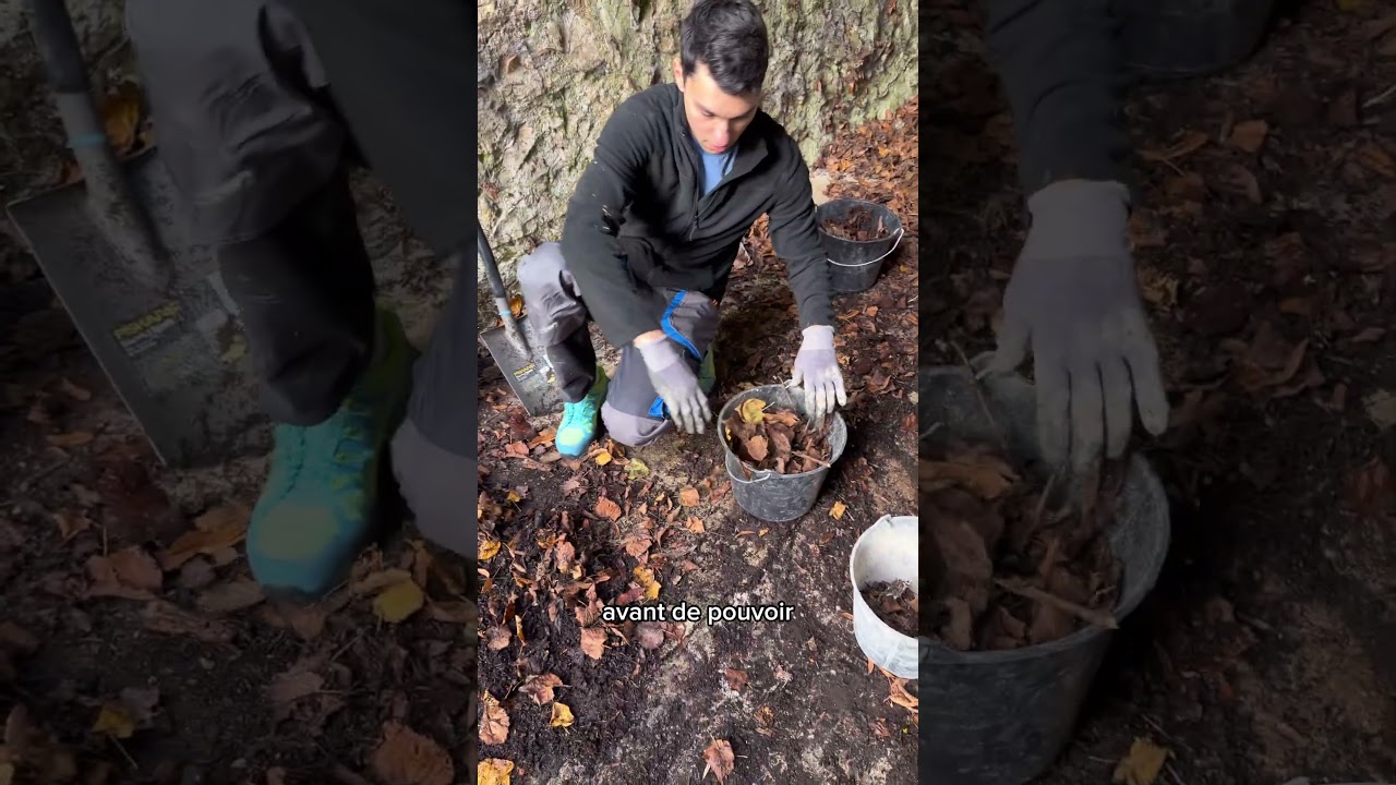 On déblaye 50 ans derrière notre manoir #rénovation #manoir #château