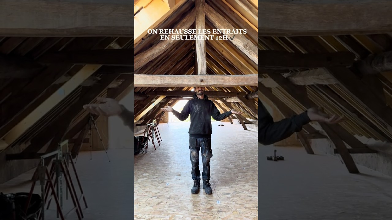12H POUR UN CHANGEMENT INCROYABLE  🚀 TUTO on remonte les entraits 🪚🐕‍🦺🪵 #renovation #tutorial
