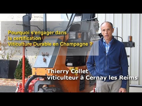 Pourquoi s'engager dans la certification Viticulture durable en Champagne ?