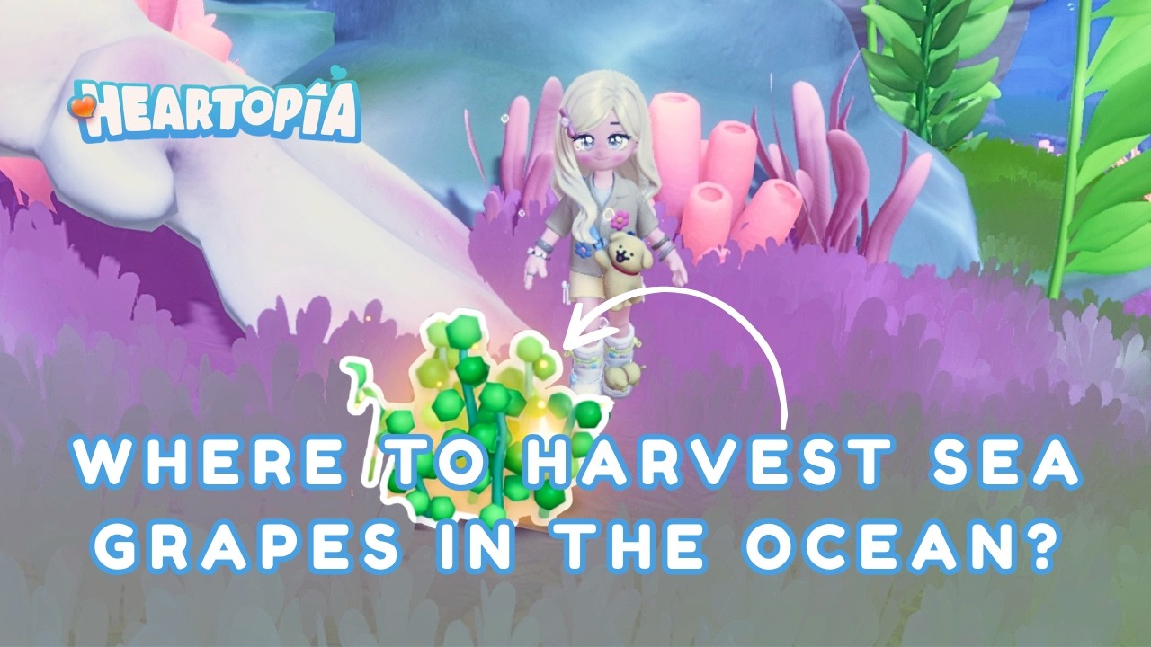 Find Sea Grapes FAST! 🗺️ - All Sea Grapes Locations | Heartopia Call of Whales Fashionwave
