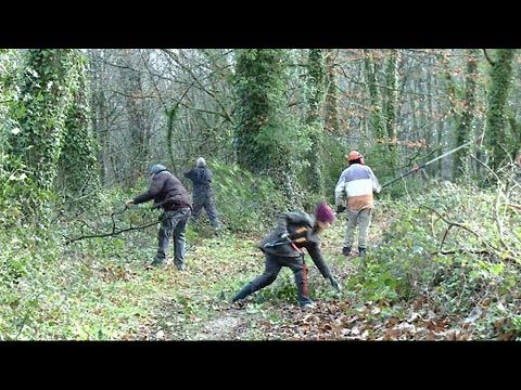 LES CHANTIERS NATURE ET PATRIMOINE DU LOC'H : UN TREMPLIN VERS L’EMPLOI