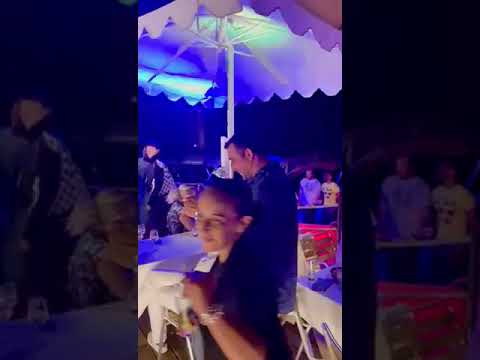 Les terrasses de l'île Barbe 2