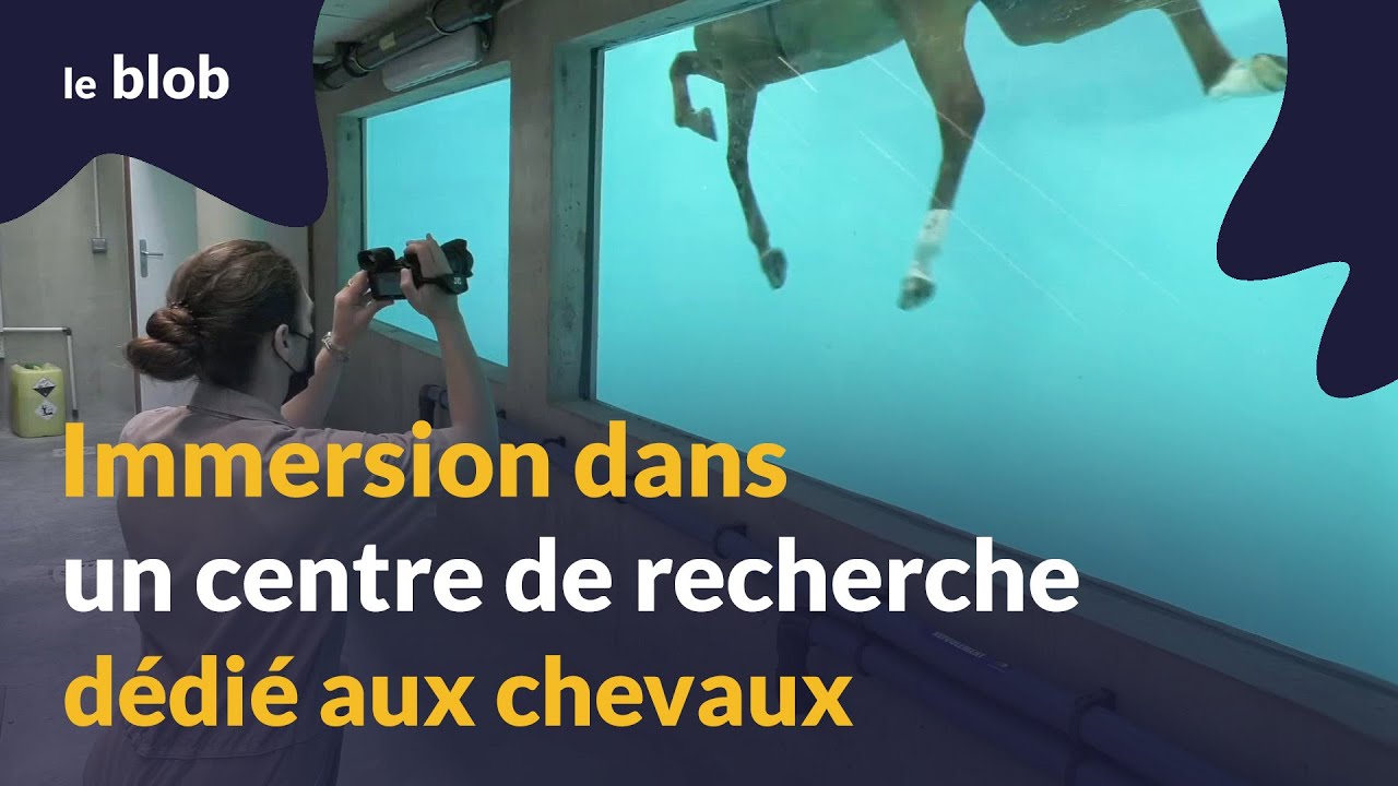 Immersion dans un centre de recherche dédié aux chevaux | Reportage
