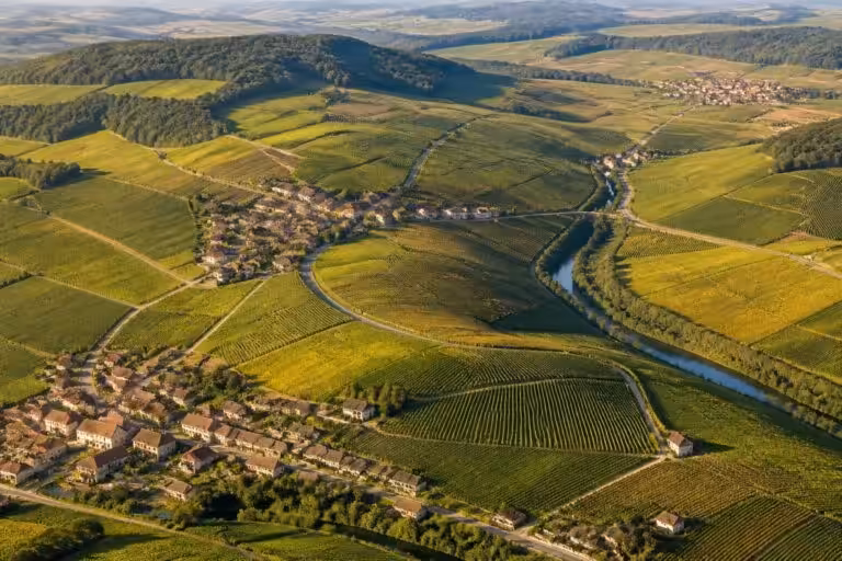 découvrez notre carte de la champagne viticole et apprenez à bien vous repérer dans cette région célèbre pour ses vignobles et son champagne d'exception.